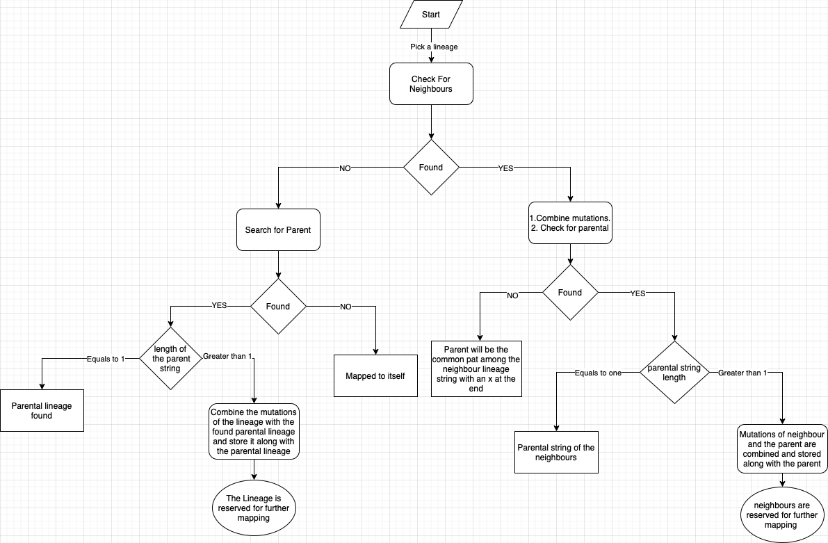 mapping lineages idea